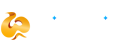 WishWin Casino Logo